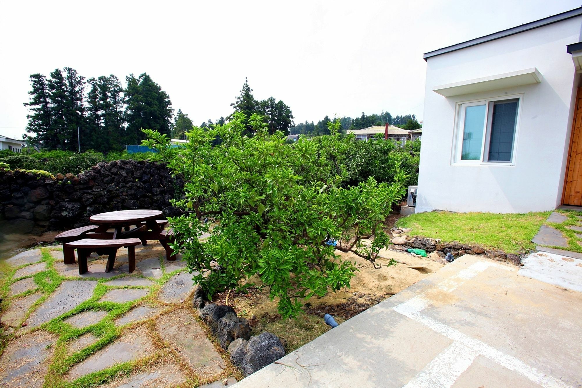 Saemmoru Pension Seogwipo Esterno foto